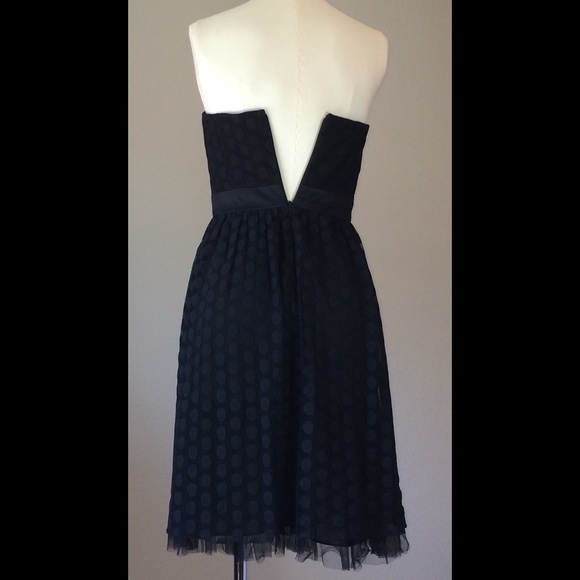 Hello Hollidays! WHBM dot lace mesh overlay dress, size 0 - Picture 4 of 4